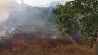 Eskişehir'de çıkan yangında meyve ağaçları zarar gördü