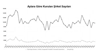 2026'nın ilk yedi ayında şirket kuruluşlarındaki artış dikkat çekiyor