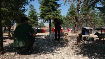 Altıeylül'de hayvanların yeni yuvalara kavuşması için özel etkinlik