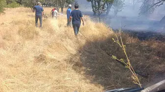 Çanakkale'de otluk alanda yangın paniği: Orman ekipleri seferber oldu