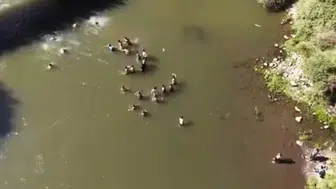 Bingöl'de kaybolan vatandaşın kurtulma çabası dronla kaydedildi