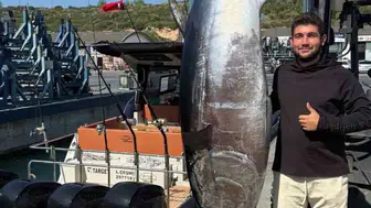 İzmir açıklarında tarihi an: 260 kiloluk dev orkinos avlandı