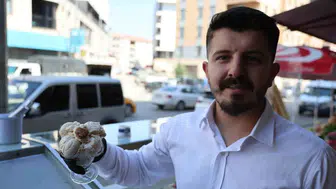 Elazığ'da devrim niteliğinde bir lezzet: Orcikten dondurma üretilmeye başlandı
