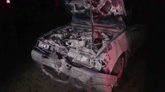 Çaycuma'da yola çıkan mandalara çarpan otomobilde 2 kişi yaralandı