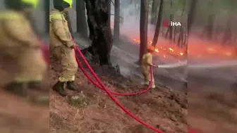 Manavgat yangınında önemli gelişme: Enerji düşürüldü