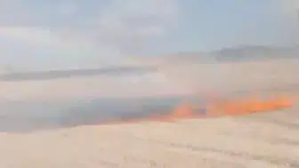 Anız yangını yozgat'ta büyük bir alanı tehdit etti