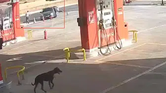 Gaziantep'teki silahlı kavga: 2 ölü, 5 yaralı, güvenlik kameraları kayıtta