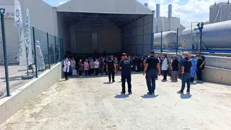 Afyonkarahisar'da domates serasında zehirlenme vakaları artıyor