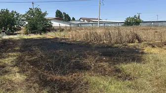 Tekirdağ'da ot yangınına itfaiye hızlı müdahale etti