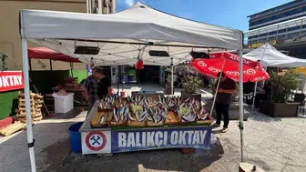 Zonguldak'ta balıkçıdan yeni sezon müjdesi: Denizde bol balık olacağı söyleniyor