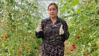 Sera aşkı diplomanın önüne geçti: Yasemin Orhan tarıma yeniden adım attı