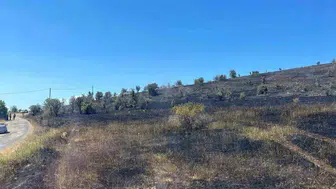 Bolu'da boş arazide yangın paniği: İtfaiye ekipleri zamanında müdahale etti