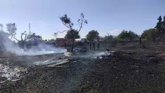 Aydın'da zeytinlik alanda çıkan yangın başarılı bir şekilde kontrol altına alındı