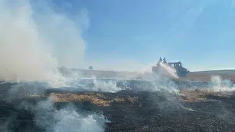 Bolu’da elektrik direğinden çıkan yangın, 8 dekar araziyi küle çevirdi