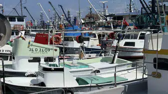 Balıkçılar hazırlık yapıyor: Rumeli Feneri'nde palamut sezonu için geri sayım başladı
