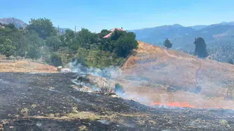 Alanya’da zirai alanda meydana gelen yangında 4 dönüm alan yandı