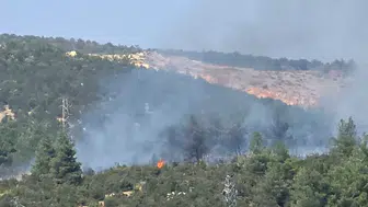 Bilecik'teki orman yangını kontrol altına alındı: 1 hektar zarar oluştu