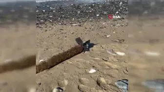 Yeniköy sahilinde kaybolan gizemli cisim paniği: Mühimmat mı bulundu?
