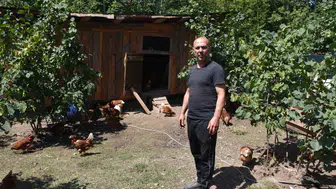 Hobi olarak başladı, tavuk sayısını 100'e çıkararak taleplere yetişemiyor