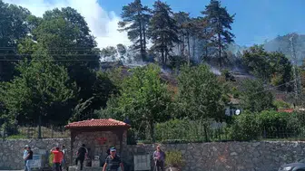 Sinop'taki orman yangınında bir kişi gözaltına alındı