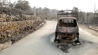 Cezayir’de orman yangınları sonrası 3 günlük ulusal yas ilan edildi