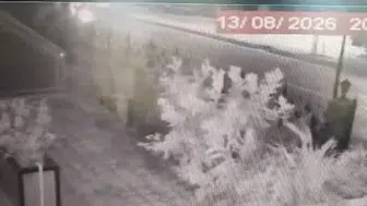 Bursa'da apartmanlara tırmanarak evleri soyan şüpheli yakalandı