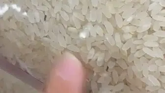 Elazığ'da marketteki paketli pirinçte böcekler çıktı
