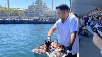Eminönü'nde orkinos balıkları su yüzüne çıkıyor
