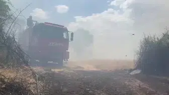 Diyarbakır'da orman yangını bilançosu: 400 dönümlük alan kül oldu