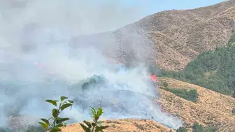 Bingöl'de örtü yangınına müdahale için ekipler seferber oldu