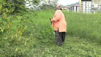 Rize'de hayvancılık yapan kadın, yeşil alanları tırpanla biçerek geçimini sağlıyor