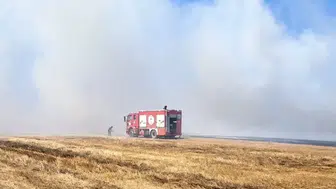 Tekirdağ'da anız yangını mahallede paniğe neden oldu