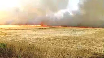 Kütahya'da anız yangını 230 dekarlık alanı etkiledi