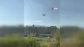 Kaş'daki yangında hayvanlar için umut dolu anlar