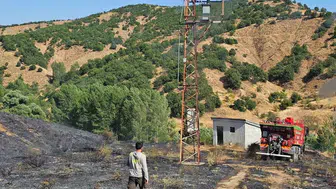 Bingöl'de kırsal alanda çıkan yangın kontrol altına alındı