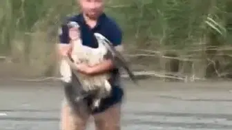 İnegöl'de mahsur kalan leyleği kurtarmak için harekete geçildi