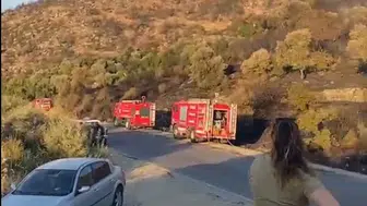 Söke’de çıkan orman yangını ekiplerin hızlı müdahalesiyle kontrol altına alındı