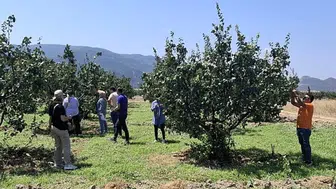 Bilecik'te tarım arazilerinde bitki hastalıkları kontrolü yapıldı