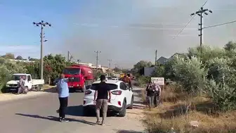 Aksu’da zeytinlik alanda yangın: itfaiye ekipleri müdahale ediyor