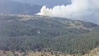 Kastamonu'da orman yangınına hızlı müdahale: Tehlike büyümeden önlendi