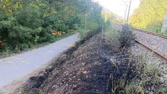 Bilecik'te YHT hattı kenarında çıkan yangın kontrol altına alındı