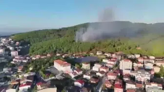 Sultanbeyli'de orman yangınına neden olan iki kişi tutuklandı