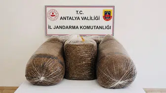 Antalya'da jandarmadan kaçak tütün operasyonu: 365 kilogram tütün ele geçirildi
