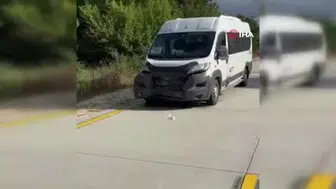 İstanbul silivri’de panelvan aracın çarptığı yaban domuzu yaşamını yitirdi