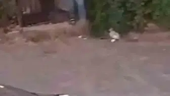 Şanlıurfa'da silahlı kavga: 3 kişi yaralandı ve 3 şüpheli gözaltına alındı