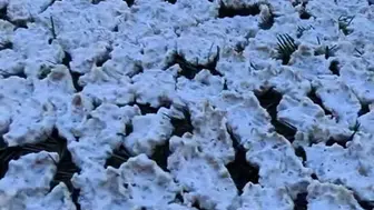 Andırın'da geleneksel tarhana hazırlığı başladı