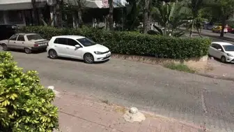 Pitbull saldırısı sonrası Adana'da kedi dostları isyan etti