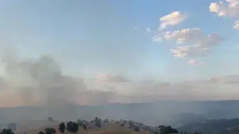Uşak'ta makilik alanda başlayan yangın meşelik alana sıçradı