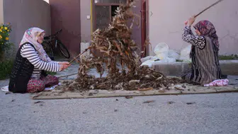 Bayburt’ta kadınlar yaz aylarında geleneksel yün çırpma geleneğini sürdürüyor