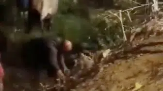 İstanbul'da inek kurtarma operasyonu: İş makineleri devrede